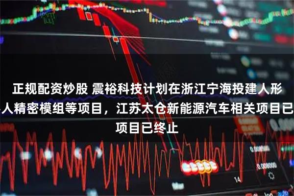 正规配资炒股 震裕科技计划在浙江宁海投建人形机器人精密模组等项目，江苏太仓新能源汽车相关项目已终止