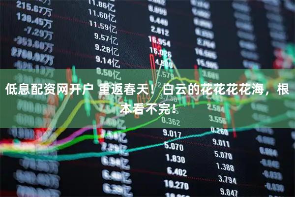 低息配资网开户 重返春天！白云的花花花花海，根本看不完！