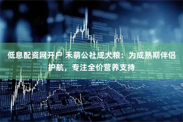 低息配资网开户 禾萌公社成犬粮：为成熟期伴侣护航，专注全价营养支持