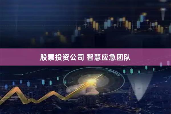 股票投资公司 智慧应急团队